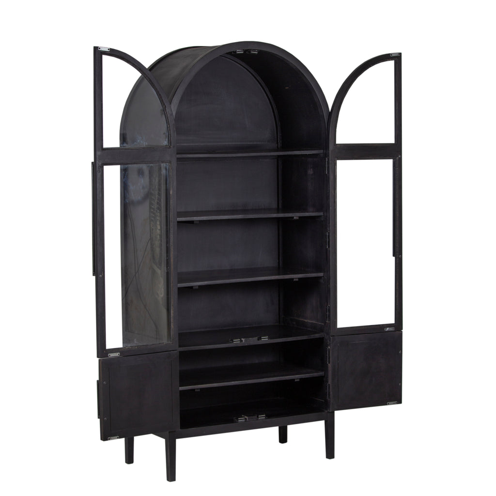 Pattie Mango Wood Glass 2 Door Cabinet