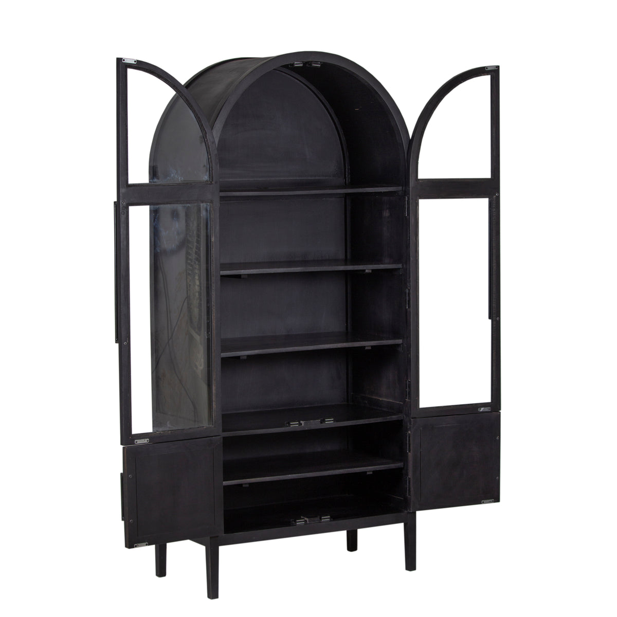 Pattie Mango Wood Glass 2 Door Cabinet