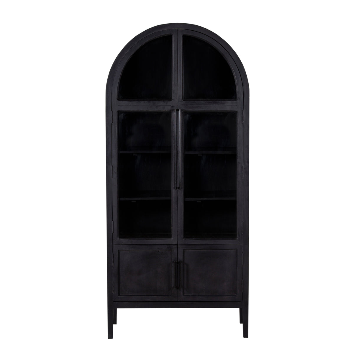 Pattie Mango Wood Glass 2 Door Cabinet