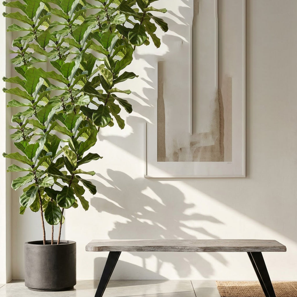 Yuki Acacia Wood Live Edge Bench