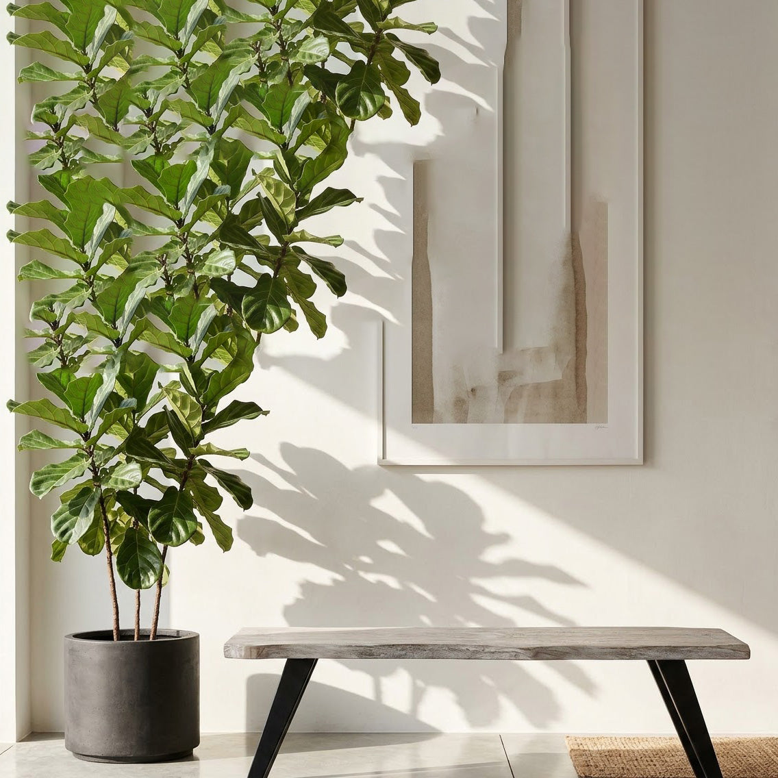 Yuki Acacia Wood Live Edge Bench