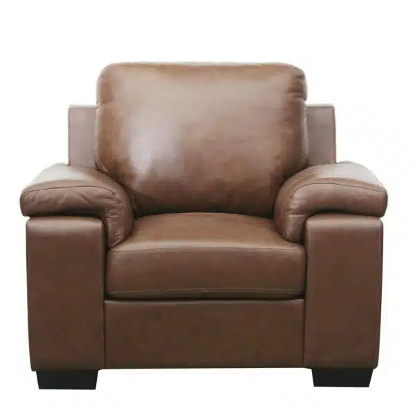 Hamburg Leather Club Chair