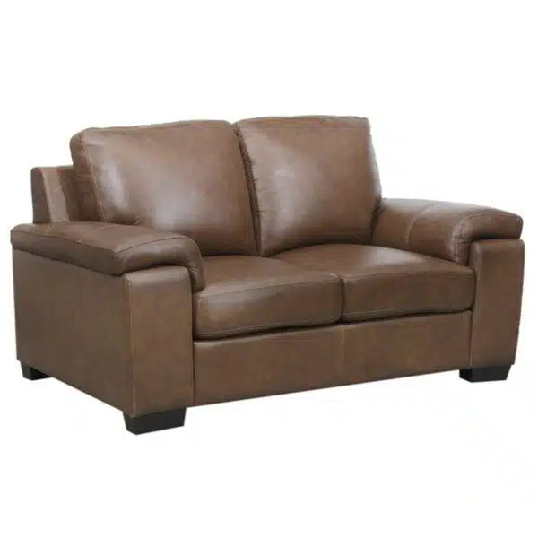 Hamburg Leather Loveseat Sofa a