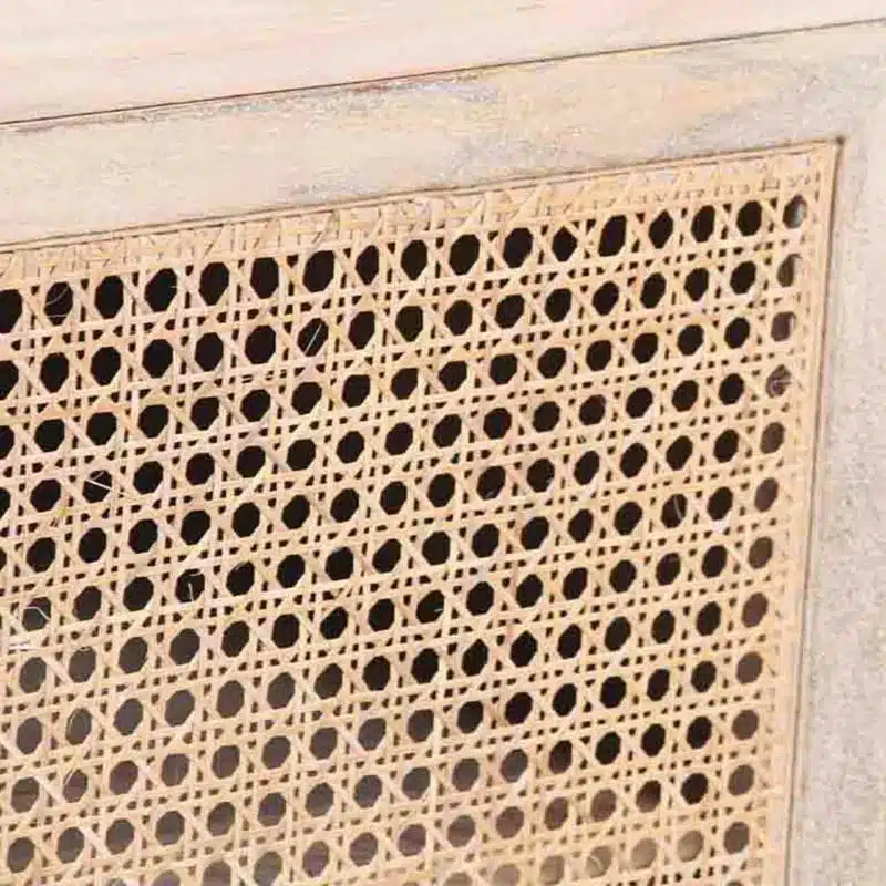 Sunda Mango Wood Rattan  Door Cabinet BW